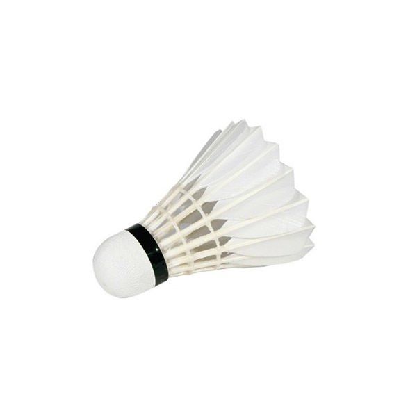 Victor Queen Speed 12szt